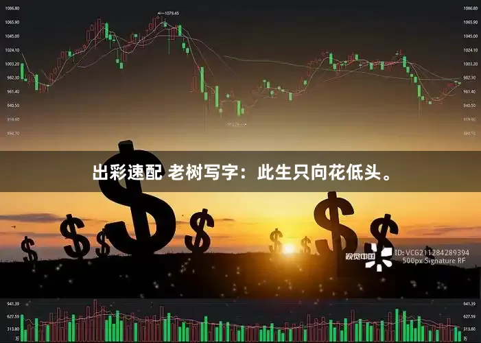 出彩速配 老树写字：此生只向花低头。