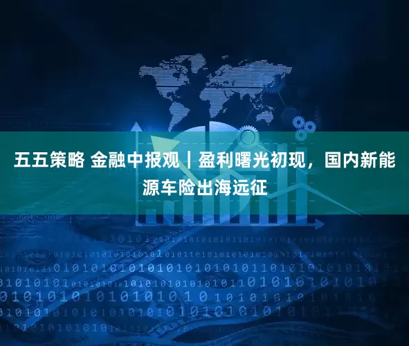 五五策略 金融中报观｜盈利曙光初现，国内新能源车险出海远征