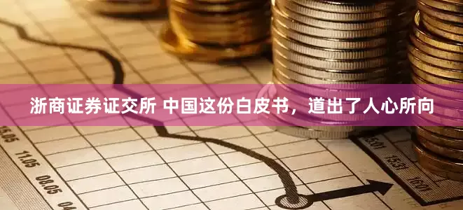 浙商证券证交所 中国这份白皮书,道出了人心所向